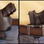 035blk_inside_outside.jpg PSP BELT SLIDE HOLSTER BLACK - SMALL & MED AUTOS IWB OR OWB