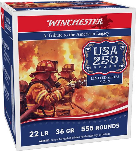 WINCHESTER 22LR 36GR PLATED HP - 1280FPS 555RD 10BX/CS