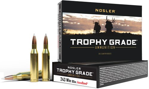 AN48263.jpg NOSLER TROPHY GRADE 243 WIN - 90GR ACCUBOND TIP 20RD 10BX/CS