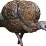 AVIAN X LCD FEEDER HEN DECOY