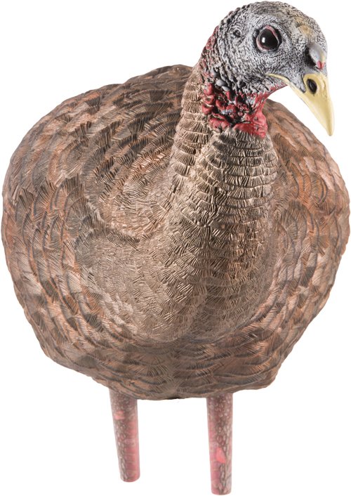 AVIAN X LCD BREEDER HEN DECOY