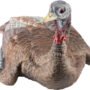 AVIAN X LCD LAYDOWN HEN DECOY
