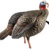 AVXAVX8105.jpg AVIAN X HDR JAKE DECOY