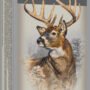 WINCHESTER SUPER-X 223 WSSM - 64GR POWER POINT 20RD 10BX/CS