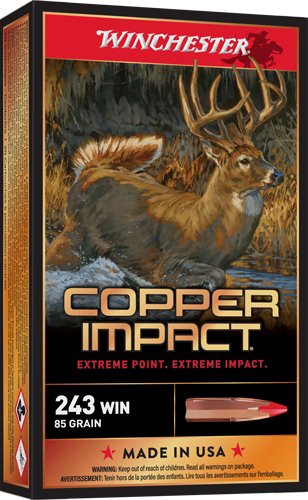 WINCHESTER COPPER IMPACT 243 - WIN 85GR 20RD 10BX/CS