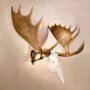 SKULL HOOKER BIG HOOKER - ROBUST BROWN