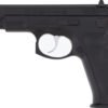 CZ 75-BD 9MM FS 10RD POLYMER - BLACK POLYCOTE FINISH