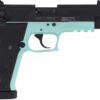 G2213TFFMA.jpg GERMAN SPORT FIREFLY 22LR - 4.9" FS 13RD THREADED MINT