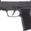 SIG P365 AXG LUXE 380ACP 3.1" - 2-PORT XRAY3 (3)12RD BLACK