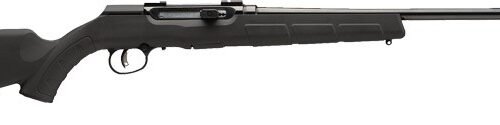 G47400_1 SAVAGE A22 22WMR AUTO 21" - ACCU TGR BLK/BLK SYN 10-SHOT