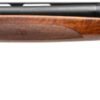 SAVAGE 560 FIELD 12GA 3" - 28"VR BLACK WALNUT