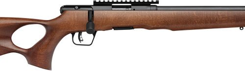 SAVAGE B22 TIMBER THUMBHOLE - 22LR 18" 10RD BLUED/WOOD