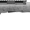 SAVAGE B22 22LR TIMBERLITE - THUMBHOLE 18" CF 10RD GRY WOOD