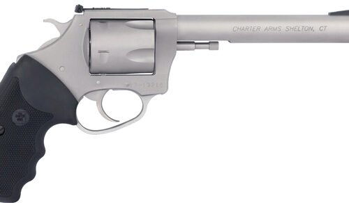 CHARTER ARMS PIT BULL 9MM - 6" ADJ S/S