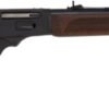 ROSSI R95 30-30 LEVER RIFLE - 20" BBL. BLUED WOOD