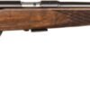 ANSCHUTZ 1712 AV SILHOUETTE - 22LR 18" BLUED MONTE-CARLO