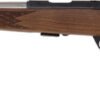 ANSCHUTZ 1712 AV SILHOUETTE - 22LR 18" S/S BBL MONTE-CARLO