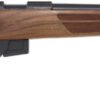 ANSCHUTZ 1761 D HB 17HMR - 20" BLUED/WALNUT CLASSIC