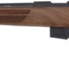 ANSCHUTZ 1761 D HB 17HMR - 20" BLUED/WALNUT CLASSIC