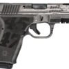 BLACK RAIN FRONTLINE 9MM - PISTOL TRUMP CUSTOM 15RD GREY
