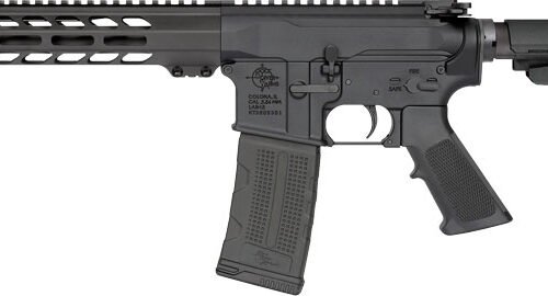 GDS2142.jpg RRA RRAGE PISTOL 5.56 NATO - 10.5" BBL M-LOK W/SBA3 BRACE