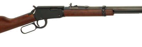 HENRY FRONTIER 22S/L/LR - 20" OCTAGON BLUED WALNUT