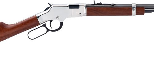 HENRY H4 GOLDENBOY SILVER - YOUTH 22S/L/LR 17" OCT. WALNUT