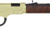 GH004VD4.jpg HENRY GOLDENBOY DELUXE 4TH ED. - ENGRAVED 17HMR