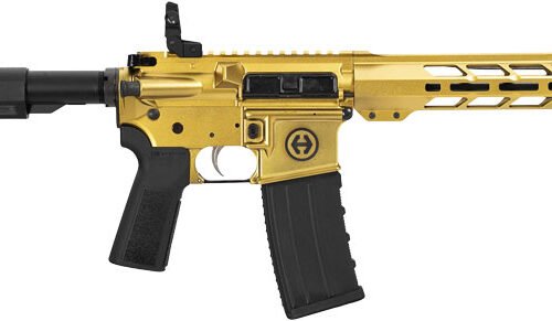 HIPOINT PISTOL HP-15 300 AAC - 10.5" 30RD BLADE BRACE GOLD