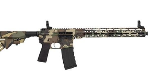 HIPOINT PISTOL HP-15 300 AAC - 10.5" 30RD BLADE BRACE M81