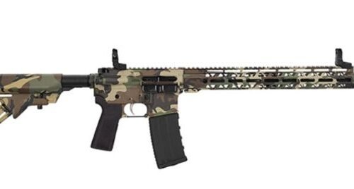 HIPOINT PISTOL HP-15 5.56 - 10.5" 30RD BLADE BRACE M81