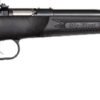 CRICKETT RIFLE G2 22WMR - BLUED/BLACK SYNTHETIC