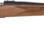 WEATHERBY VANGUARD SPORTER - 257 WBY MAG 24" TB BLUE/WALNUT