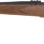 WEATHERBY VANGUARD SPORTER - 257 WBY MAG 24" TB BLUE/WALNUT