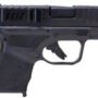 HELLCAT_ON-GUN.jpg TECHNA CLIP HANDGUN RETENTION - CLIP SPRINGFIELD HELLCAT