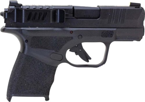 HELLCAT_ON-GUN.jpg TECHNA CLIP HANDGUN RETENTION - CLIP SPRINGFIELD HELLCAT