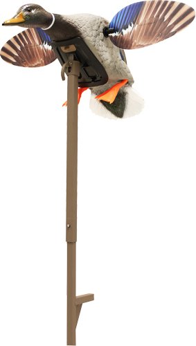 MOJO ELITE SERIES MINI MALLARD - DRAKE DECOY