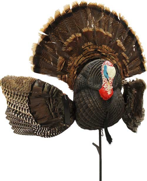 MOJO SCOOT N SHOOT MAX TURKEY - DECOY