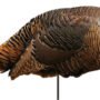 M0042.jpg MONTANA DECOY TURKEY SPRING - FLING HEN