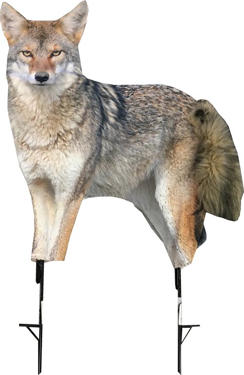 M0079.jpg MONTANA DECOY COYOTE SONG DOG