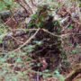 TITAN LEAFY SUIT MOSSY OAK - OBSESSION NWTF 2/3XL PANTS/TOP