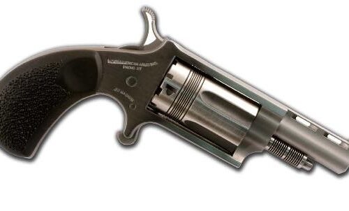 NORTH AMERICAN ARMS THE WASP 22MAG REV 1-5/8" SS