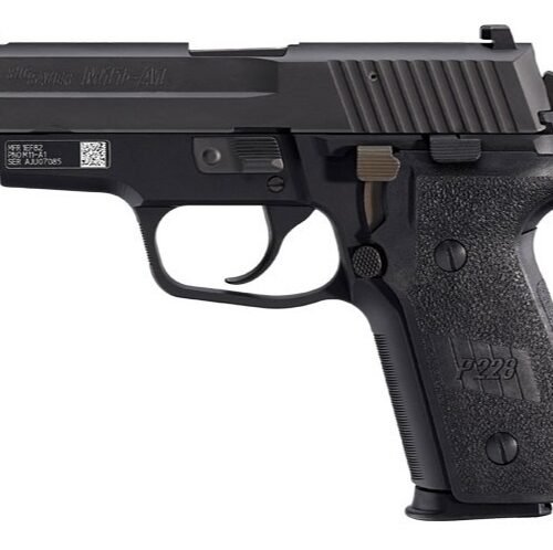 SIM11A110 SIG SAUER P229 M11-A1 9MM NIT 10+1 SLITE