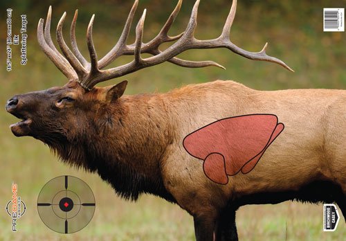 B/C TARGET PREGAME 16.5"X24" - ELK TARGET 3-TARGETS