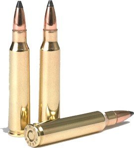 PMC 223 REM 55GR SOFT POINT - 20RD 40BX/CS