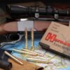 HORNADY 9.3x74R 286GR SP-RP - 20RD 6BX/CS