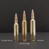 NOSLER TROPHY GRADE 26 NOSLER - 140GR ACCUBOND 20RD 10BX/CS