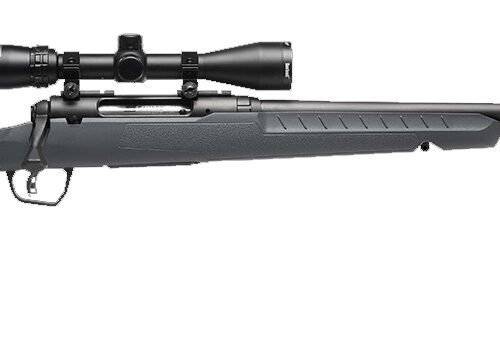 SAVAGE ARMS AXIS 2 CPT 308 BL/GRY PKG