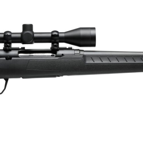 SAVAGE ARMS AXIS CPT 308WIN BL 20" PKG
