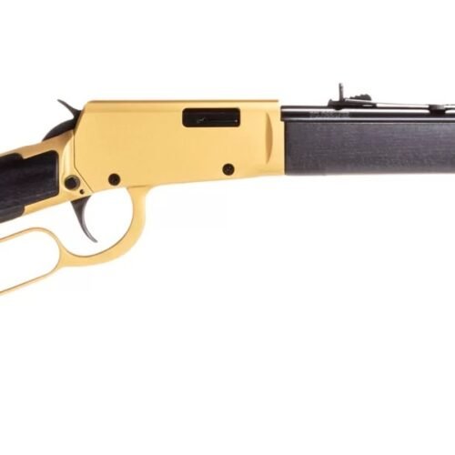 btrl22181wdgld2aadb.jpg ROSSI RIO BRAVO 22LR GLD/BK 18" 15+1